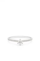 Anello solitario da donna in oro bianco 18 kt con diamanti naturali G SI – 2.12 g – 0.09 ct – Idee Preziose dal 1987 - IP.AK18B/82D